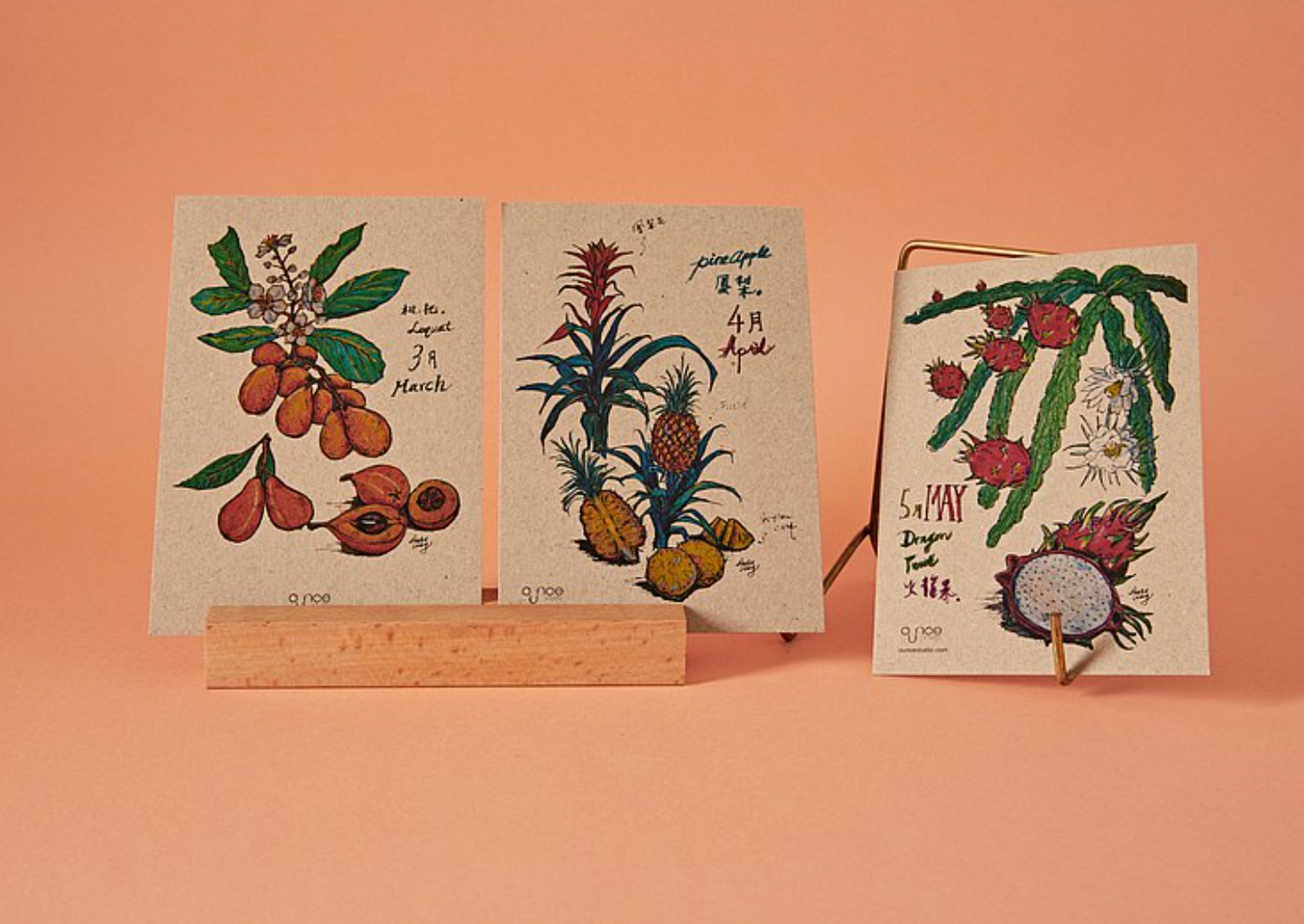🥘展覽限定．台灣水果花月份卡組（13入）Taiwan Fruits Posrcard Set（Set of 13）