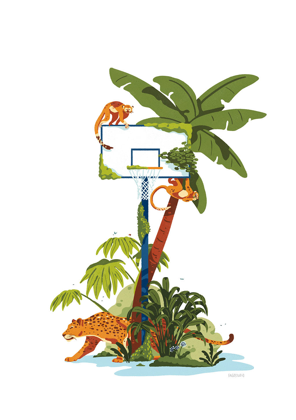 籃球框與棕櫚樹